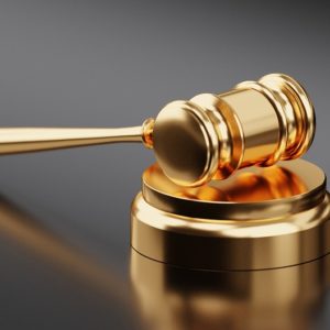 Auction/Gunsmithing Payment